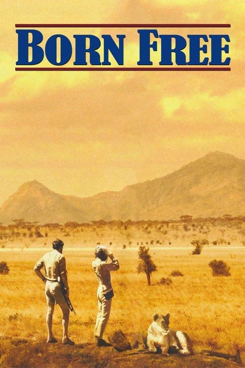 Born Free 1966 official movie poster