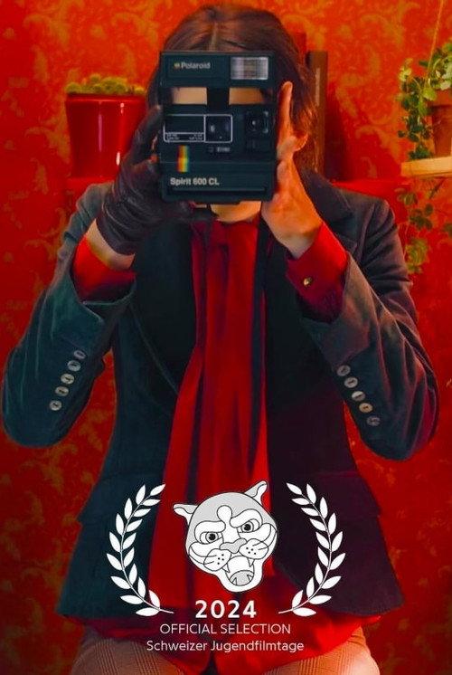 Diary of a Photobooth  official movie poster