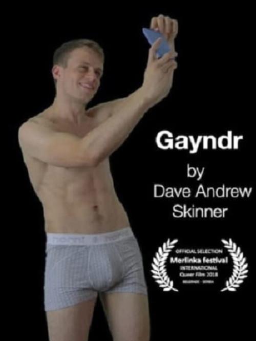 Gayndr II 2017 official movie poster