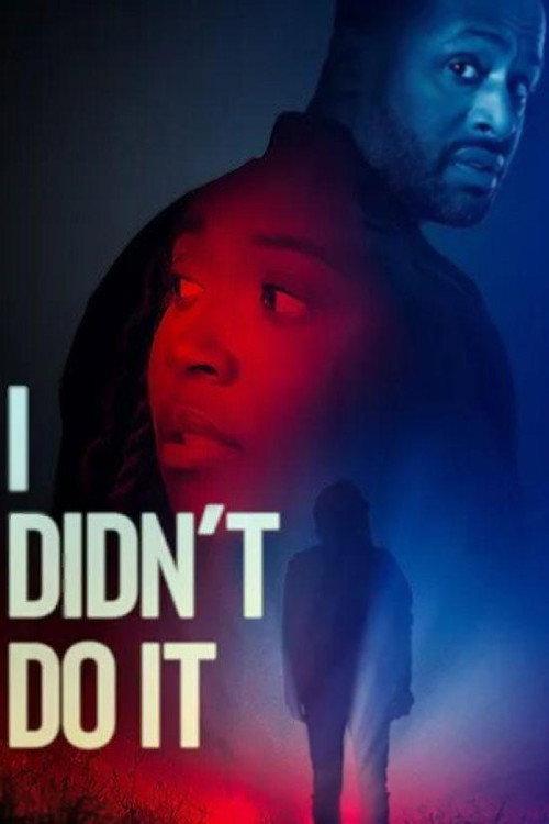 I Didn't Do It 2026 official movie poster