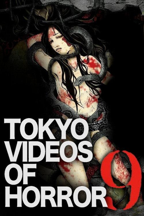 Tokyo Videos of Horror 9 2014 official movie poster