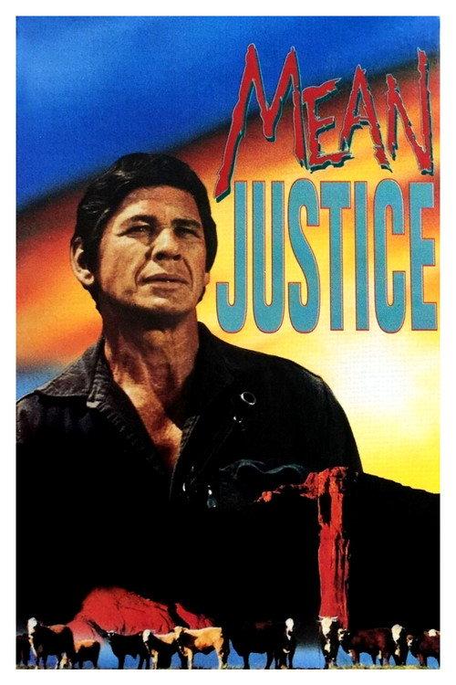 Mean Justice 1971 official movie poster