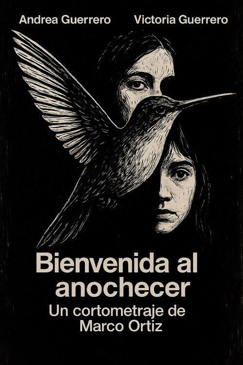Bienvenida al Anochecer 2018 official movie poster