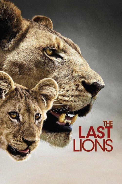 The Last Lions 2011 official movie poster