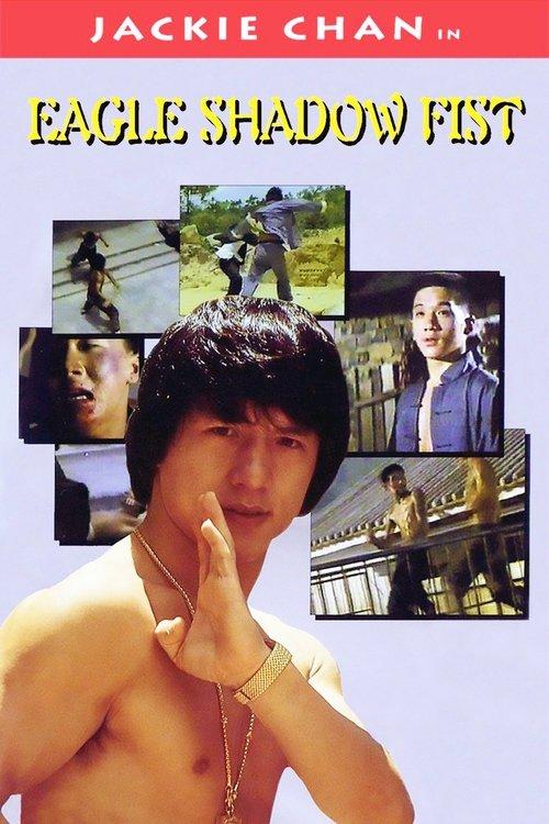 Eagle Shadow Fist 1973 official movie poster