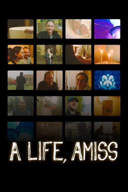 A Life, Amiss official movie poster