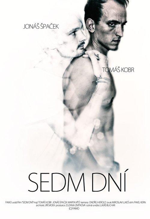 Seven Days 2012 official movie poster