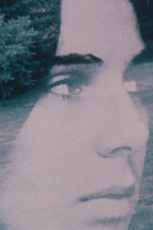 Andrea 1973 1973 official movie poster