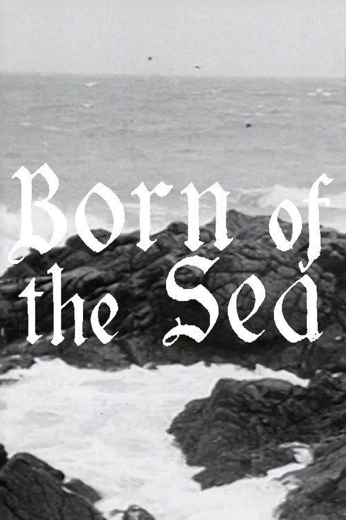 Born of the Sea 1949 official movie poster