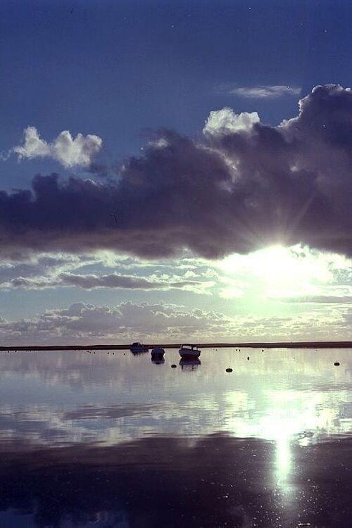 Estuary 1980 official movie poster