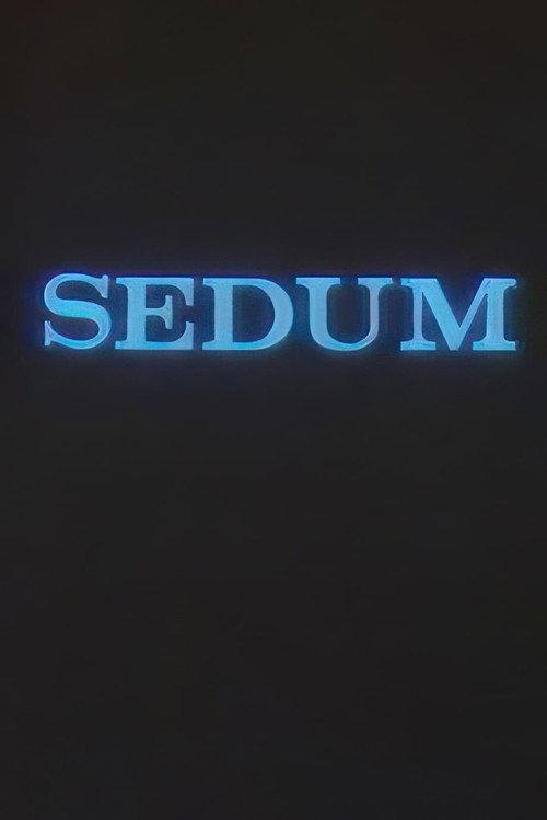 The Seven 1989 official movie poster