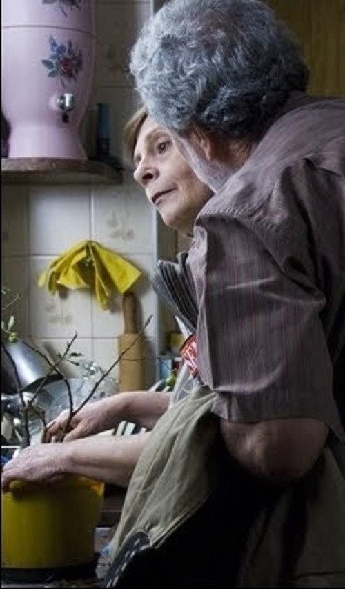 Rosa e Benjamin 2009 official movie poster