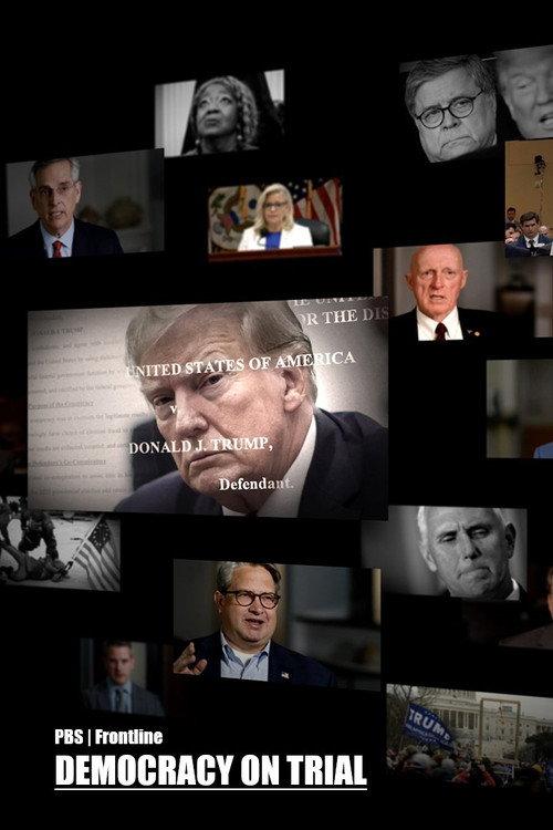 Democracy on Trial 2024 official movie poster