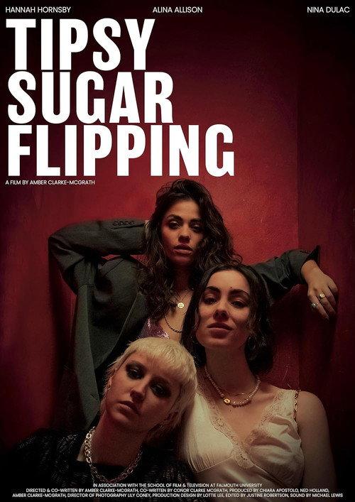 Tipsy Sugar Flipping 2024 official movie poster