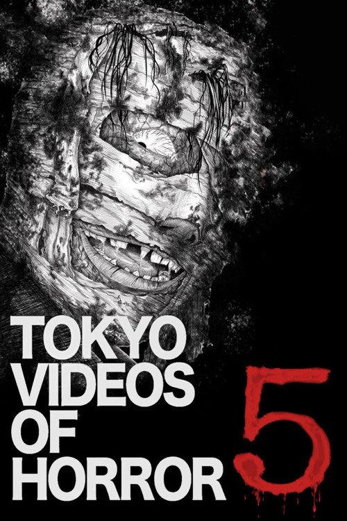 Tokyo Videos of Horror 5 2013 official movie poster