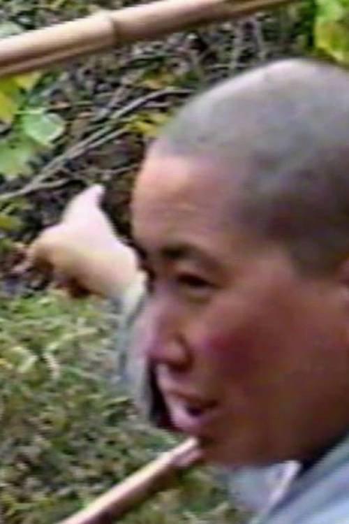 Searching for Hermits in China with Red Pine 1994 official movie poster