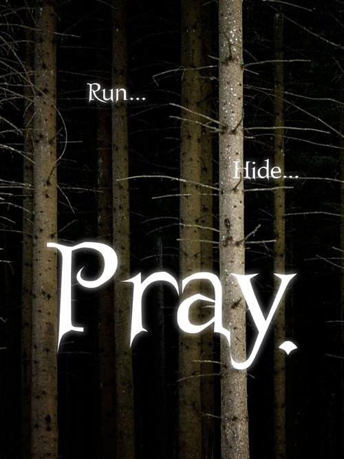 Pray. 2007 official movie poster