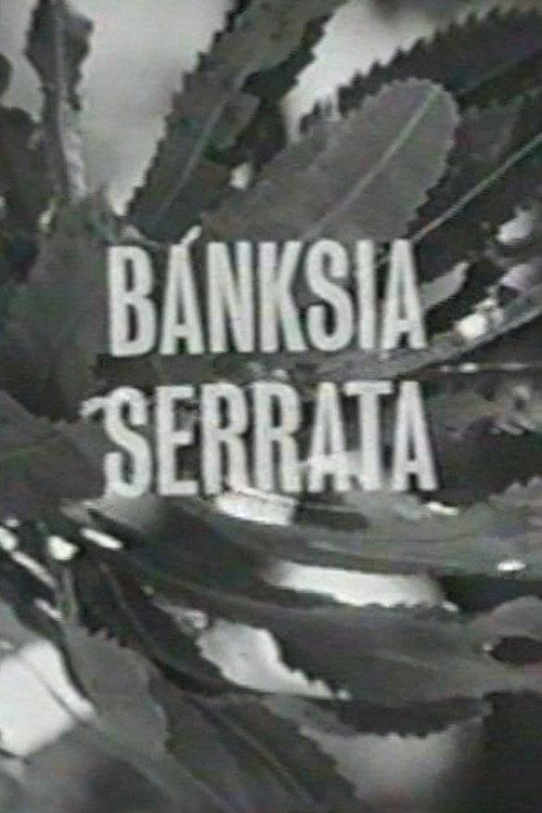 Banksia Serrata 1963 official movie poster