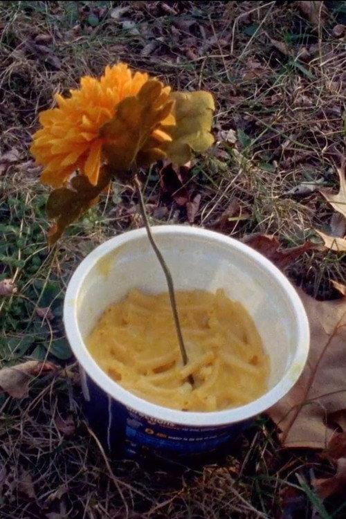 Macaroni Serenade 2017 official movie poster