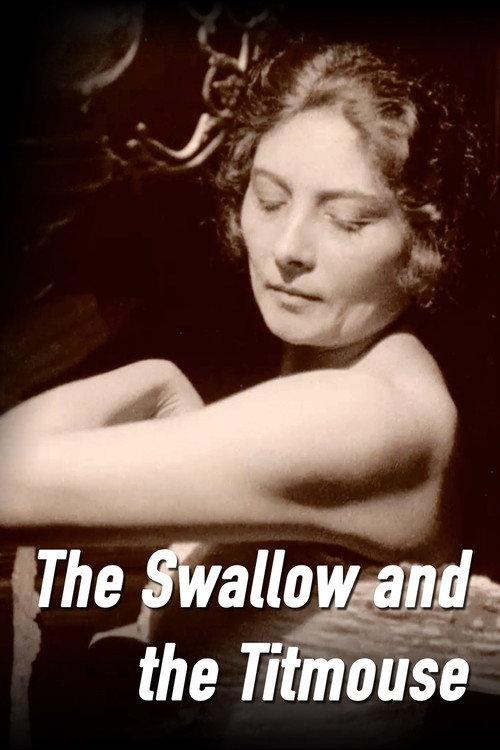 The Swallow and the Titmouse 1924 official movie poster