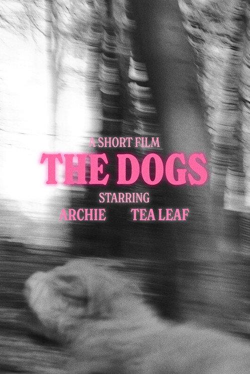 The Dogs 2024 official movie poster