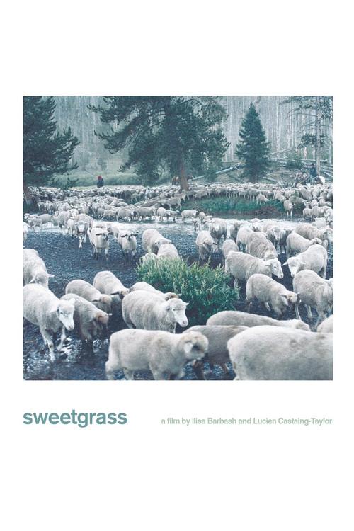 Sweetgrass 2009 official movie poster