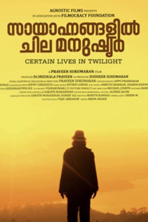 Certain lives in Twilight  official movie poster