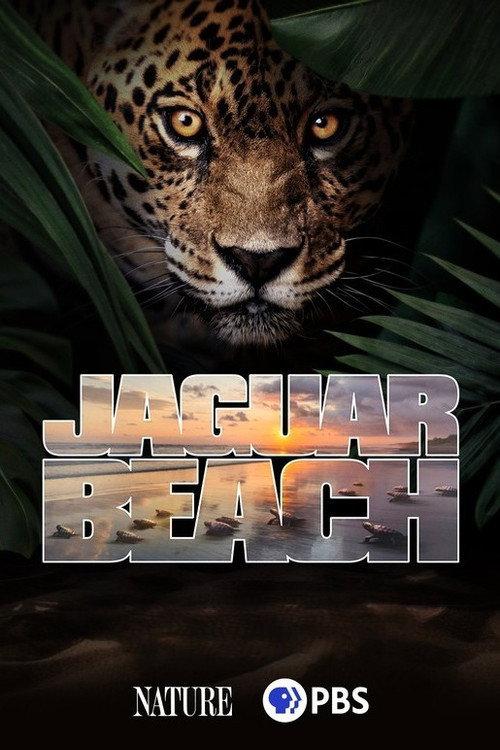 Jaguar Beach‎ 2025 official movie poster