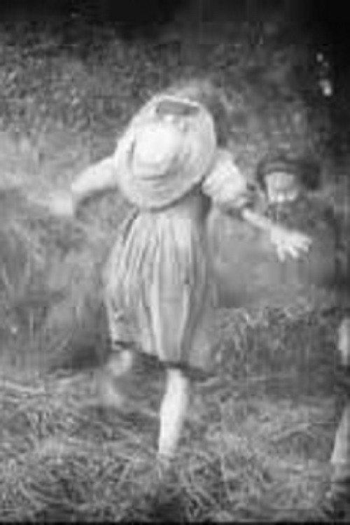 A Day in the Hayfields 1904 official movie poster