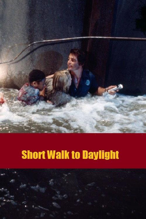 Short Walk to Daylight 1972 official movie poster