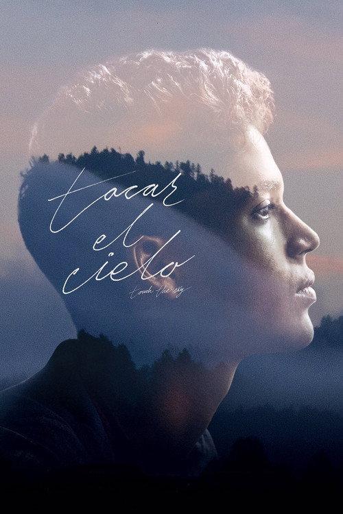 Touch the Sky 2021 official movie poster