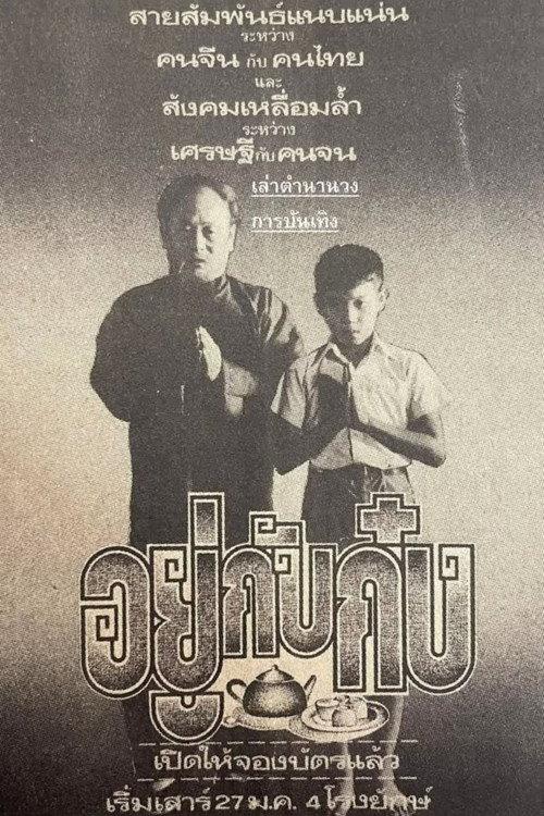 Living With Gong 1979 official movie poster