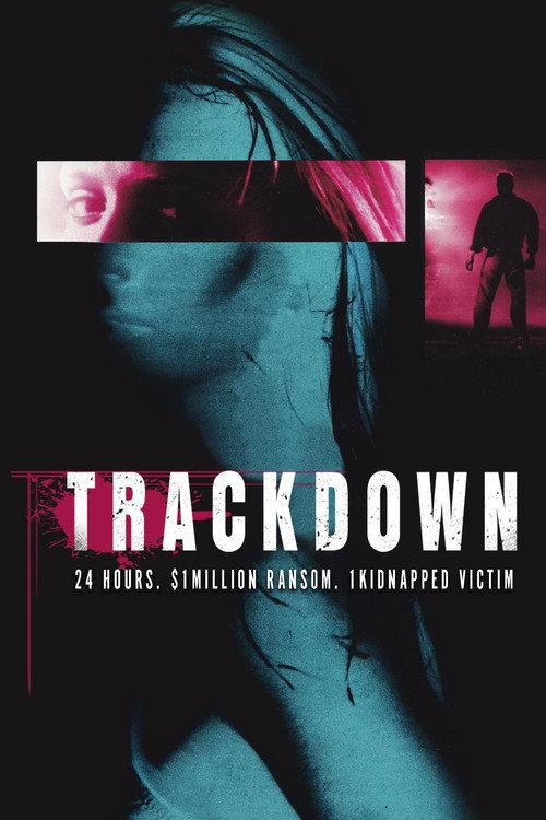 The Finder 2001 official movie poster