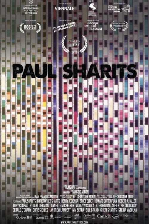 Paul Sharits 2015 official movie poster
