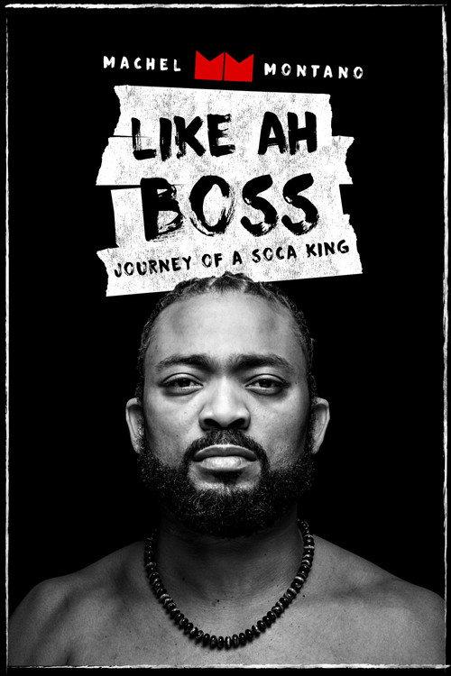 Like Ah Boss: Journey of a Soca King | Machel Montano 2017 official movie poster
