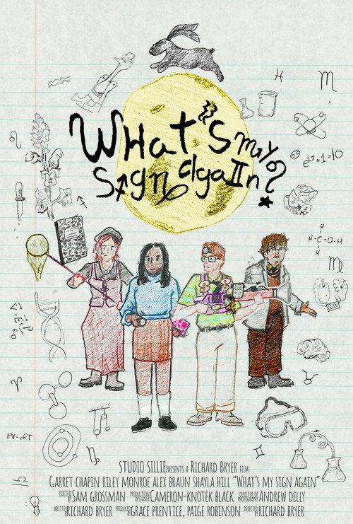 What's My Sign Again? 2025 official movie poster