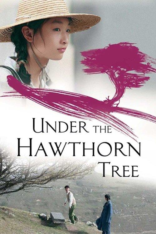 Under the Hawthorn Tree 2010 official movie poster
