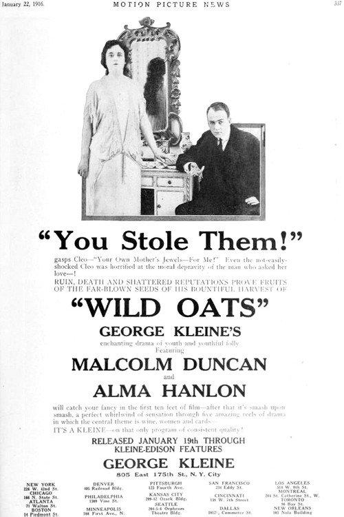 Wild Oats 1916 official movie poster