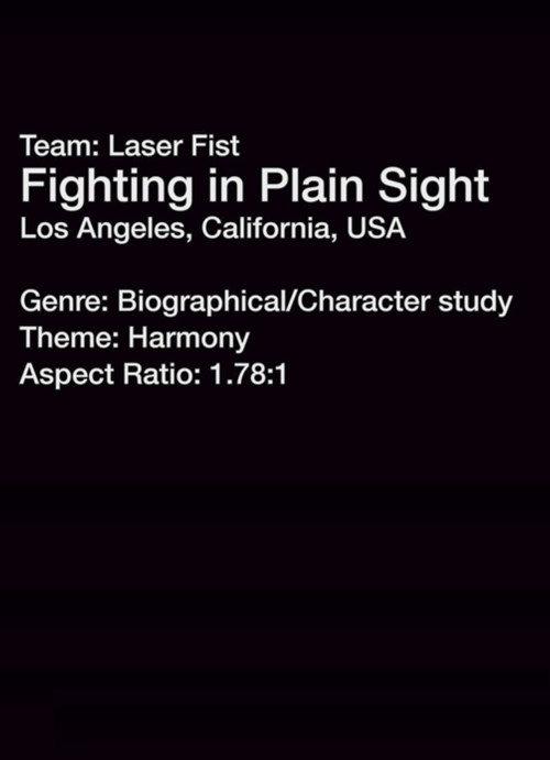 Fighting in Plain Sight 2013 official movie poster