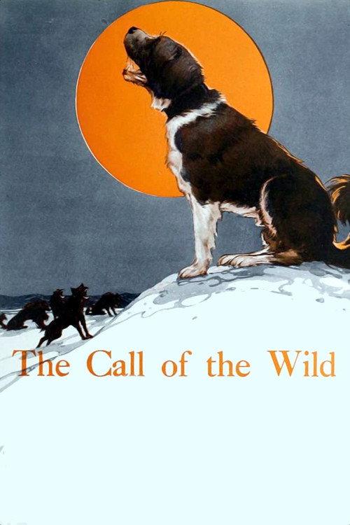 The Call of the Wild 1923 official movie poster