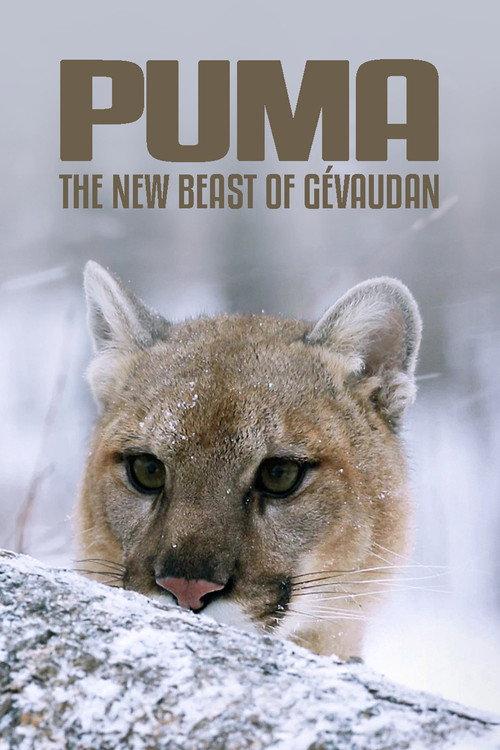 Cougar: On the Trail of the Ghost Cat 2019 official movie poster
