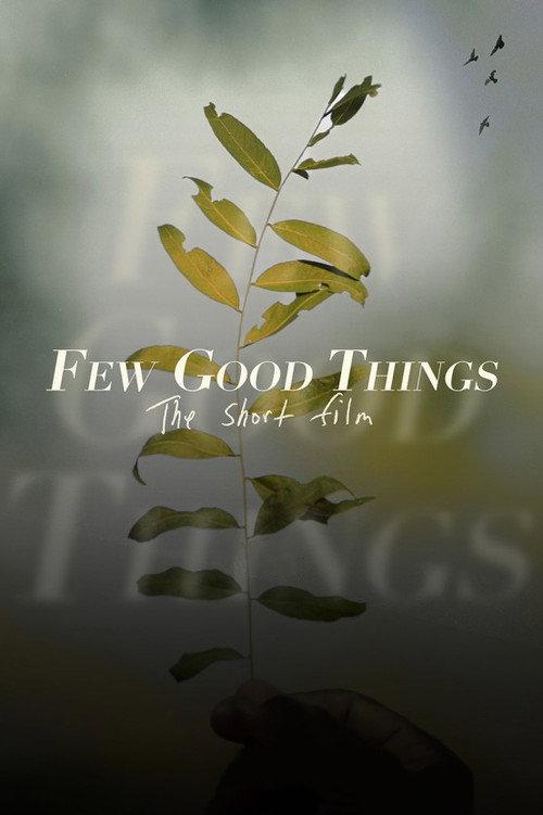 Few Good Things 2022 official movie poster