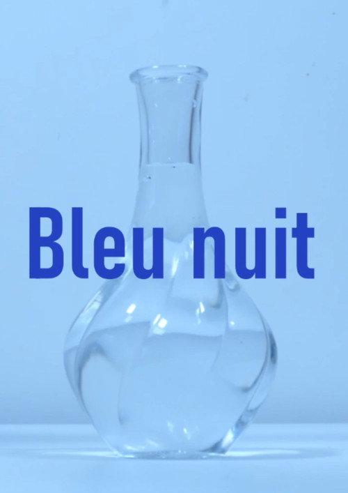 Bleu nuit 2026 official movie poster