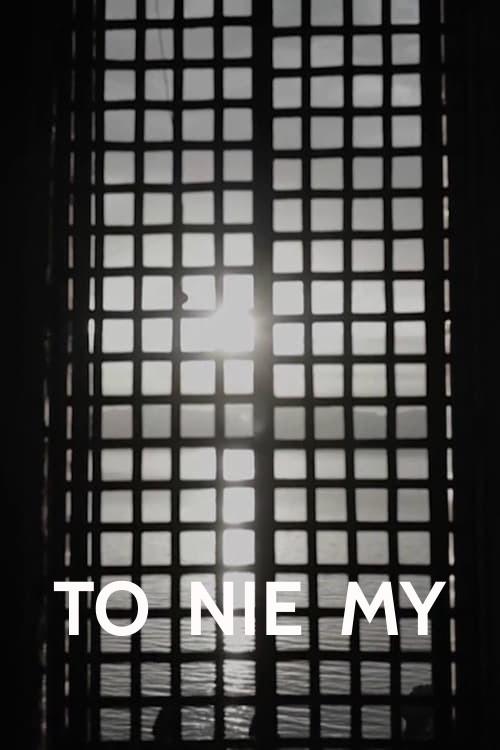 It's Not Us 2020 official movie poster