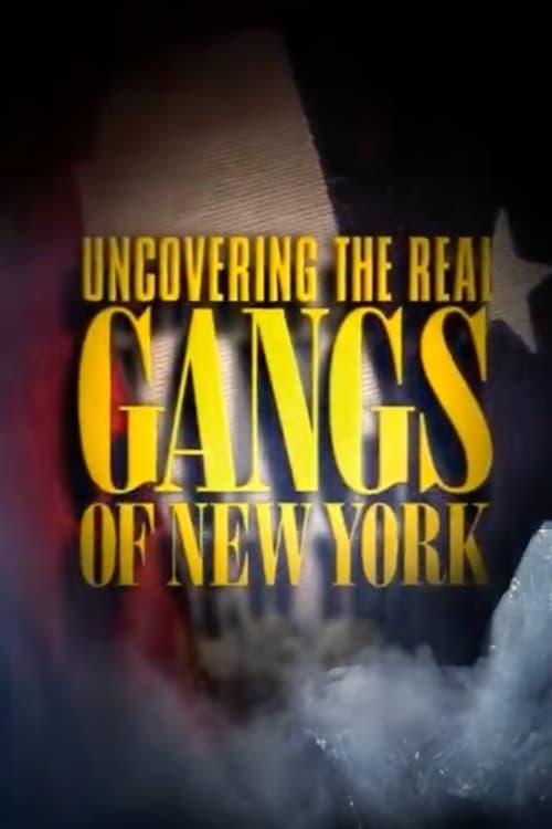 Uncovering the Real Gangs of New York 2003 official movie poster