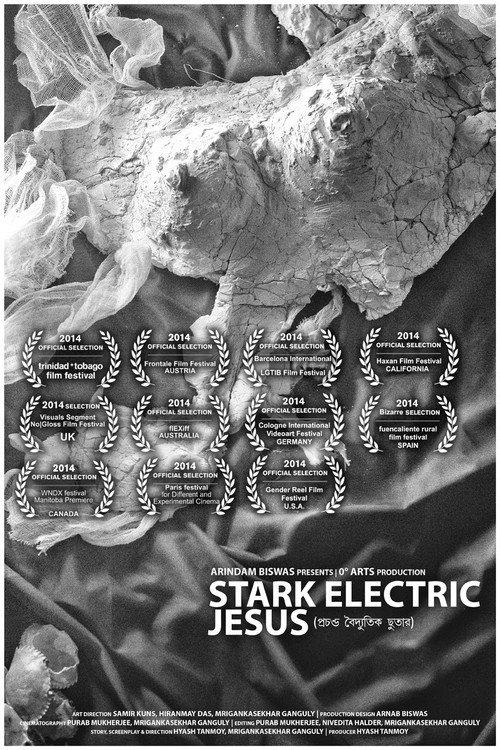 Stark Electric Jesus 2014 official movie poster