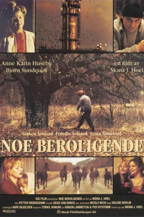 Something Calming 1995 official movie poster