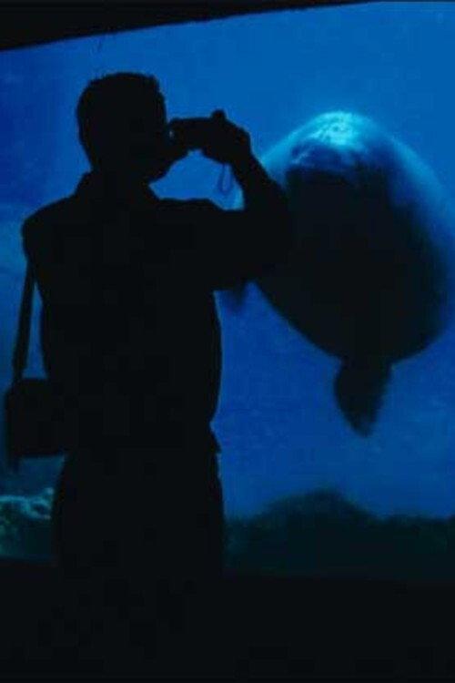The Aquarium 2006 official movie poster