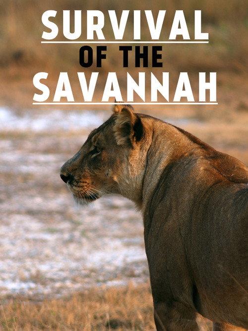 Survival on the Savannah 1999 official movie poster