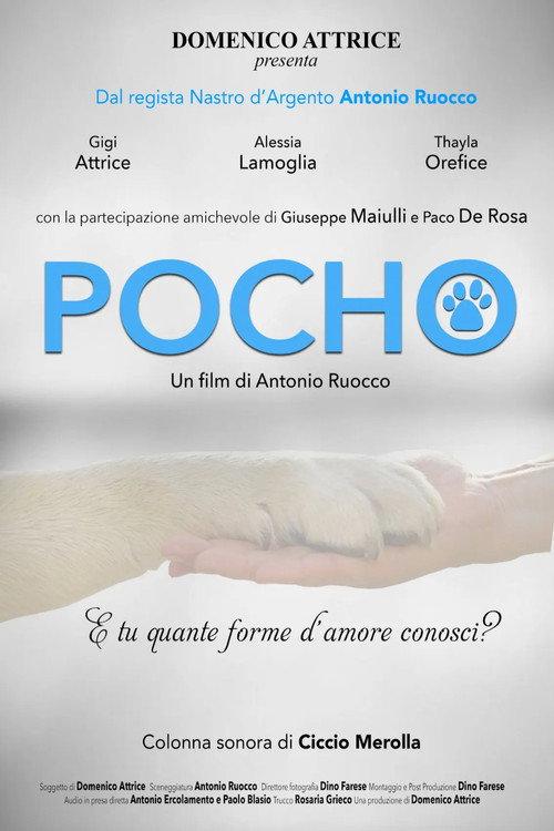 Pocho 2023 official movie poster